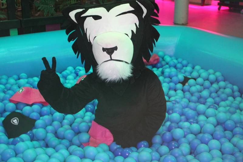 LIL'LEIP! Festival 2026 Ball Pit